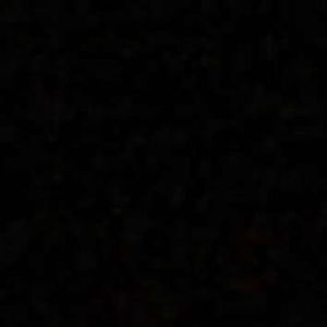 Meet your Posher, Cheyenne